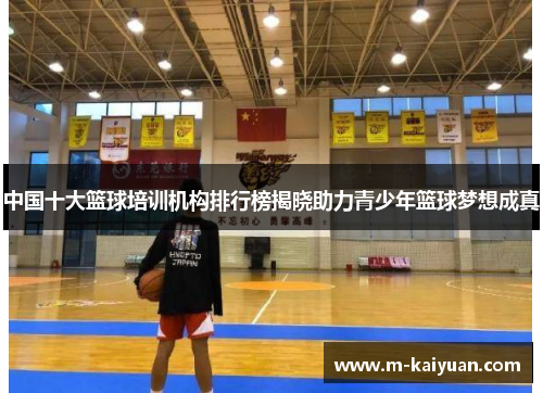 中国十大篮球培训机构排行榜揭晓助力青少年篮球梦想成真
