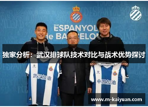 独家分析：武汉排球队技术对比与战术优势探讨
