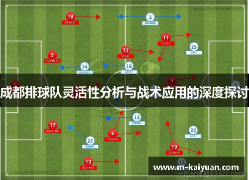 成都排球队灵活性分析与战术应用的深度探讨
